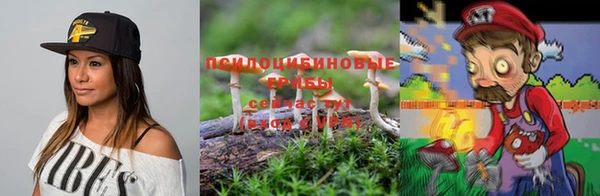 кокс Абдулино