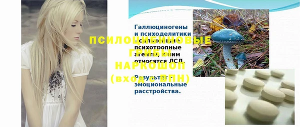 крисы Абаза