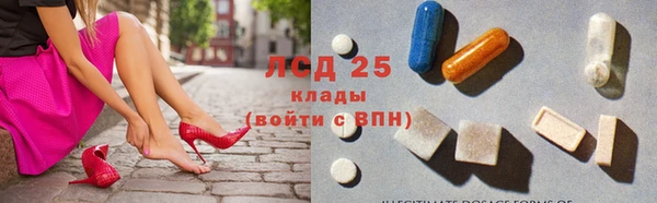 стаф Абинск