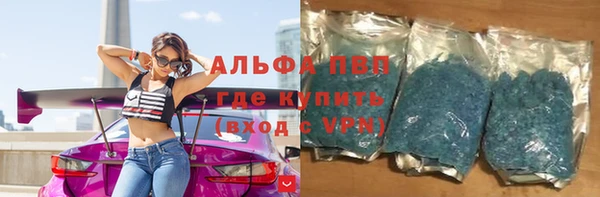 крисы Абаза