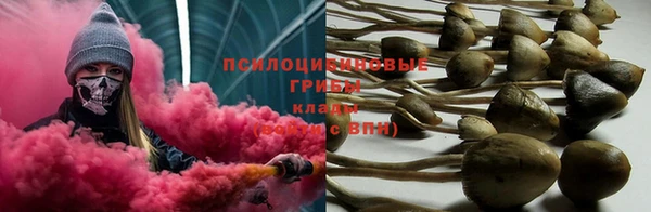 кокс Абдулино
