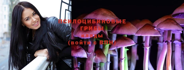 крисы Абаза