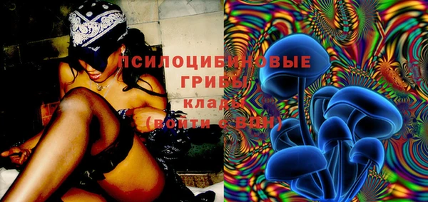 крисы Абаза