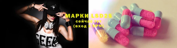 стаф Абинск
