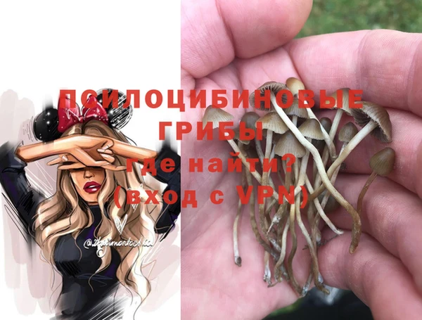 стаф Абинск