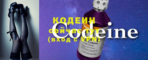крисы Абаза