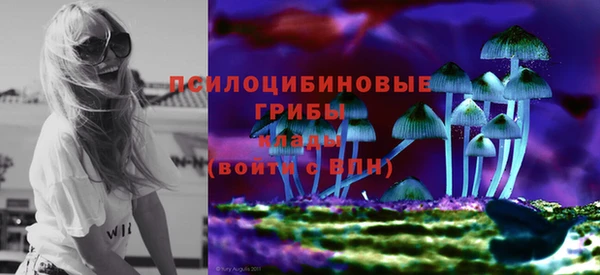 стаф Абинск